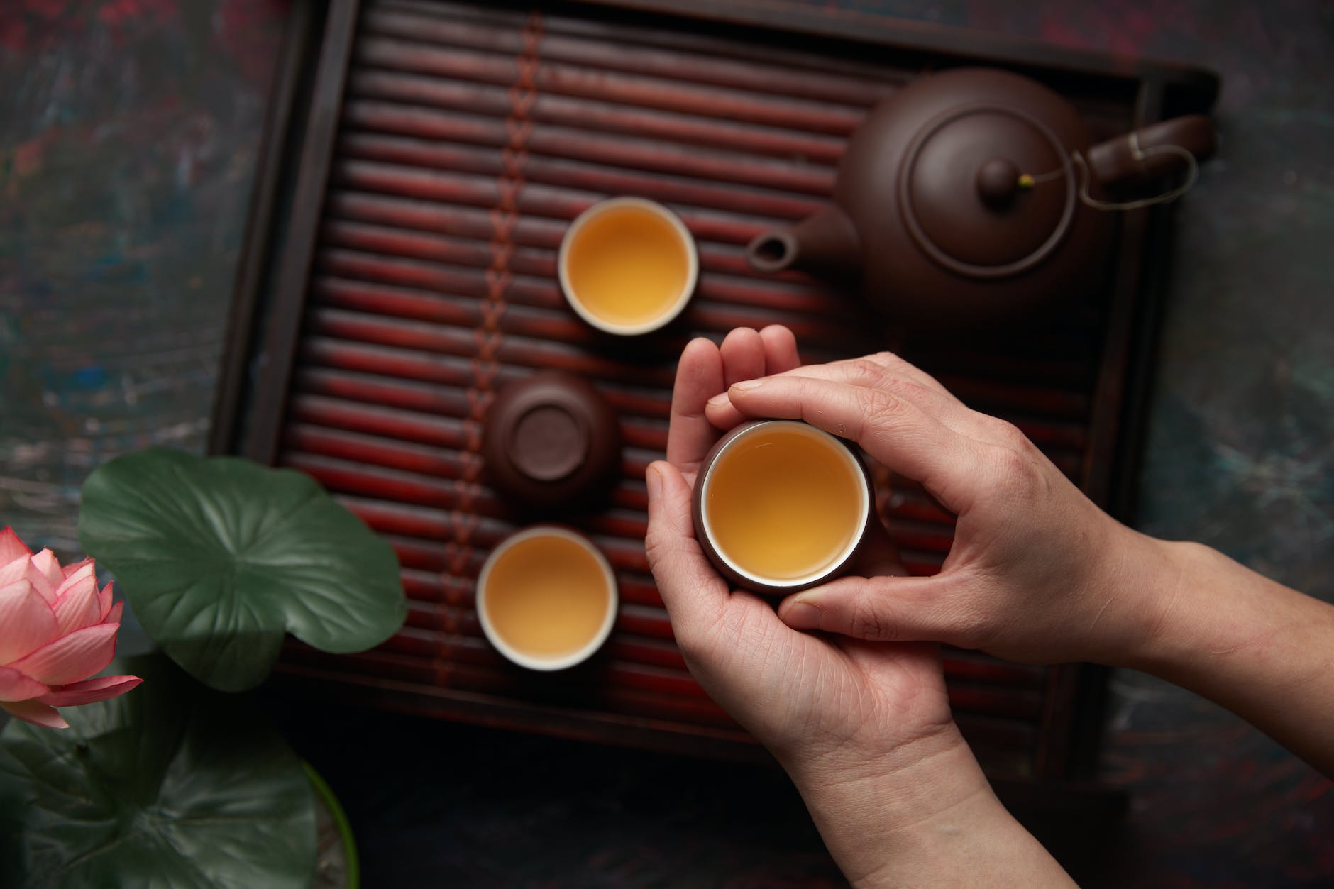 person holding tea cup during tea ceremony